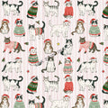 Christmas Cats